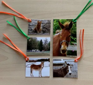 DSC Gift Tags