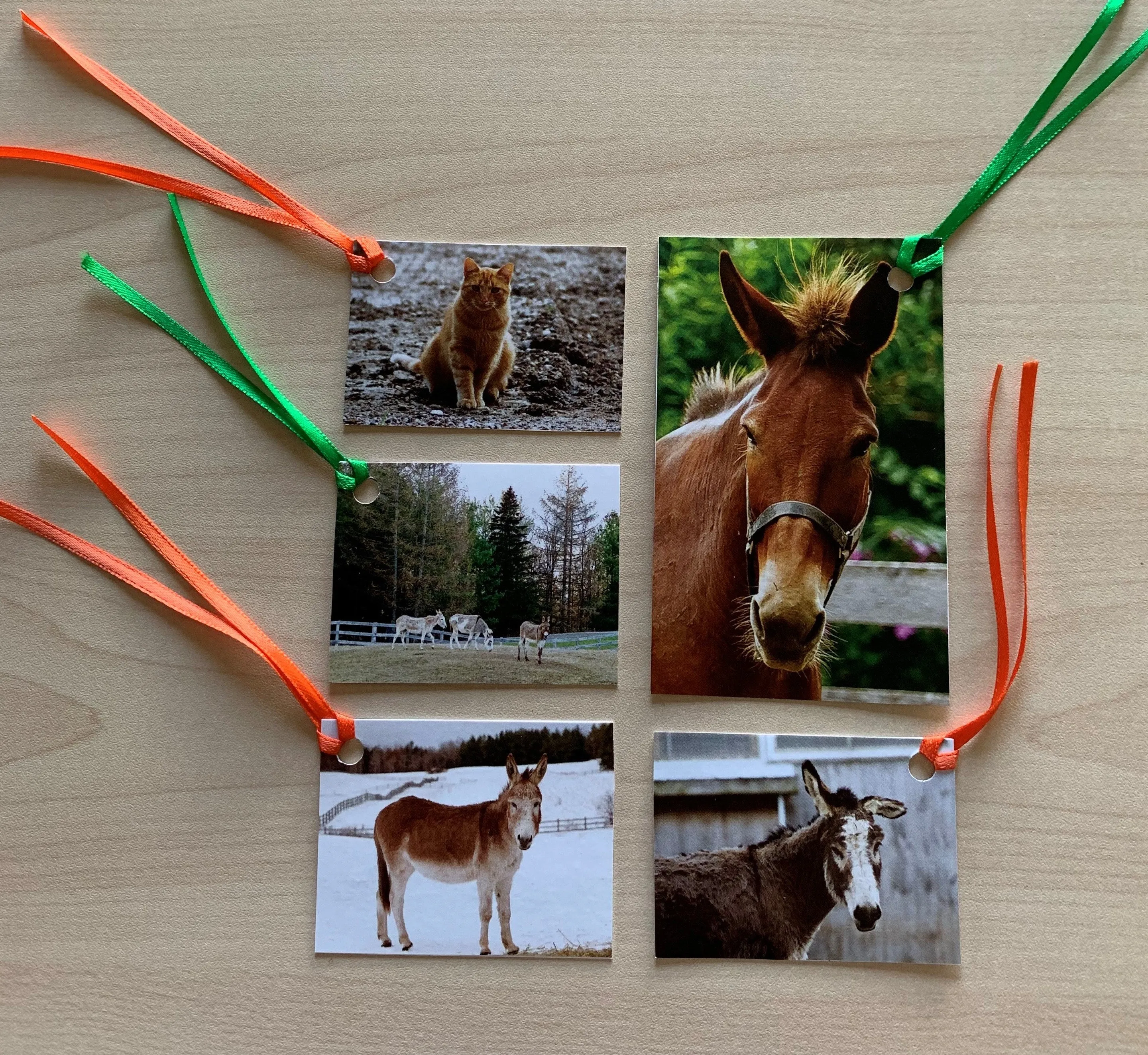 DSC Gift Tags